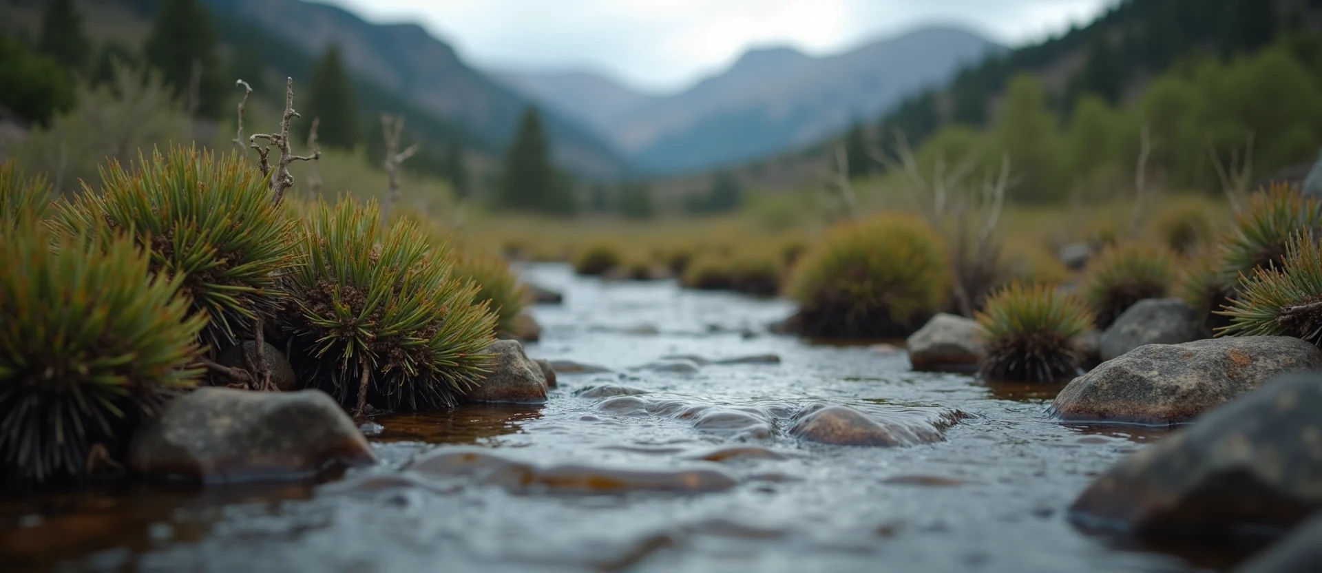 Symbolizing Flow/Cleansing: A local Desert Peach babbling mountain creek. - AI Generated