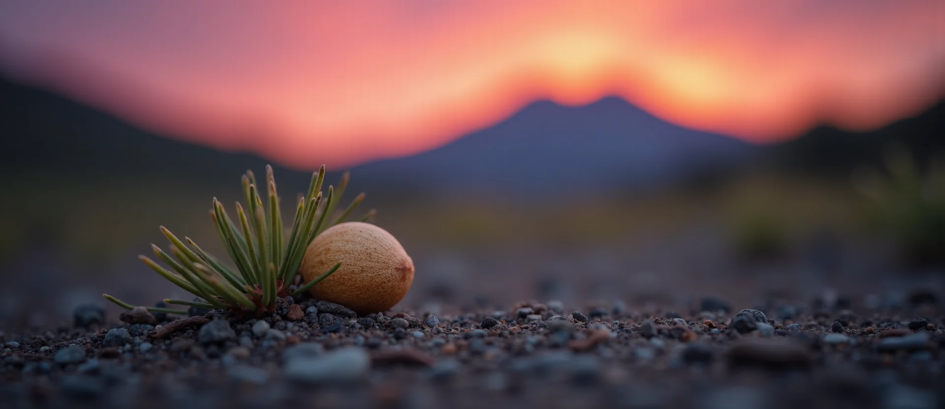 Symbolizing Seed/New Beginning: A local Indian Paintbrush single pine seed on dry earth. - AI Generated