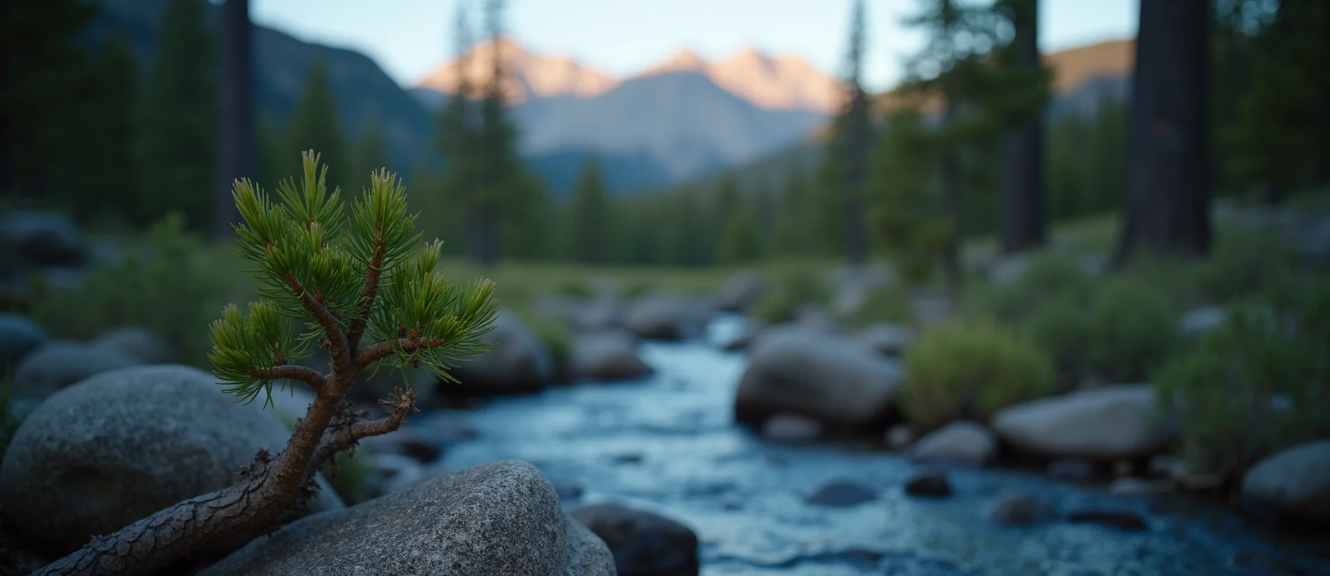 Symbolizing Flow/Cleansing: A local Quaking Aspen babbling mountain creek. - AI Generated