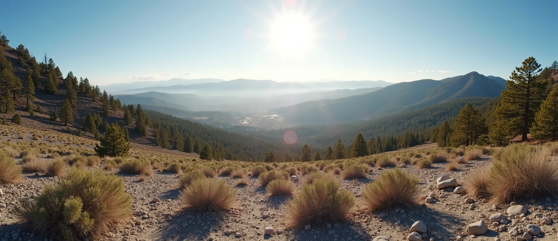 Symbolizing Identity/Local: A local Mountain Mahogany Washoe Valley floor. - AI Generated