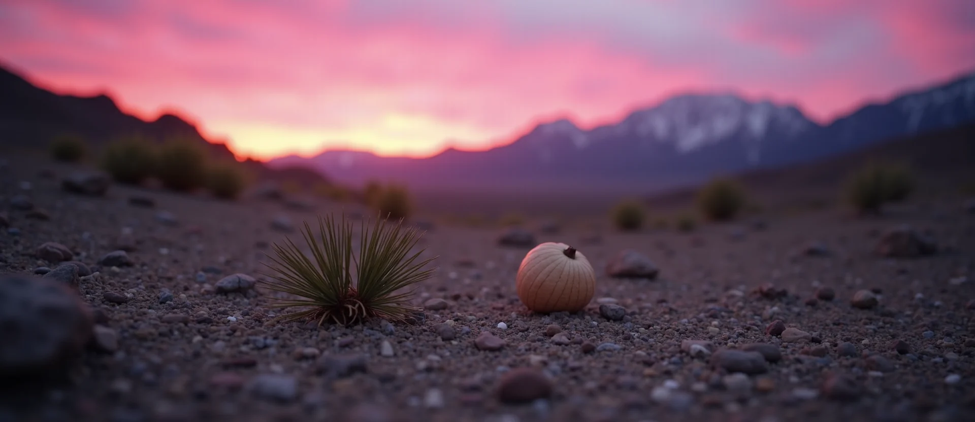 Symbolizing Seed/New Beginning: A local Rabbitbrush single pine seed on dry earth. - AI Generated