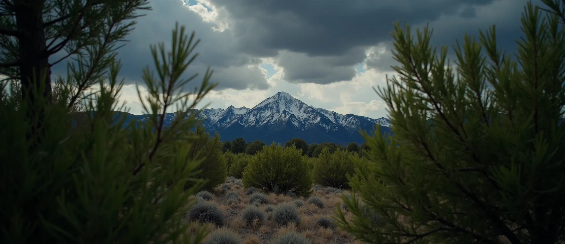 Symbolizing Identity/Local: A local Mountain Mahogany Peavine Mountain silhouette. - AI Generated