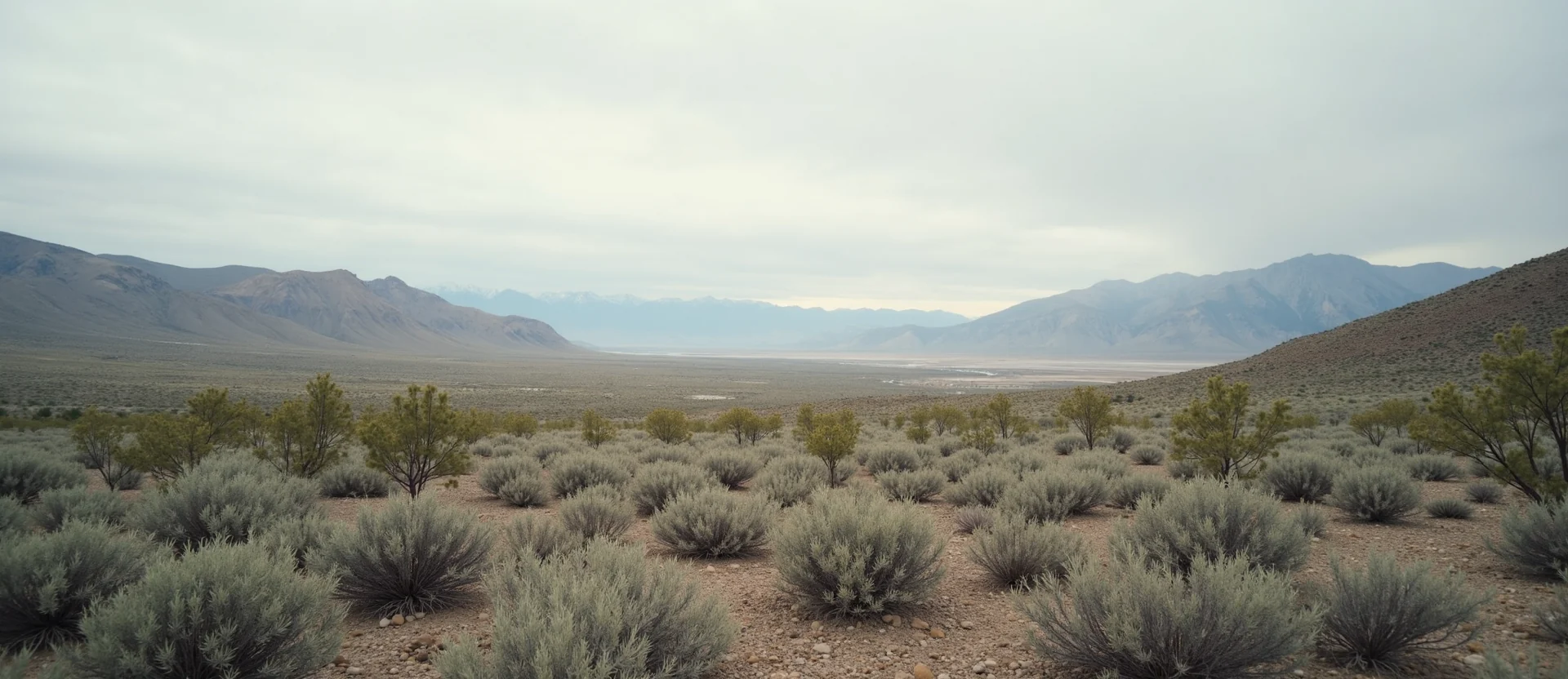 Symbolizing Identity/Local: A local Desert Peach High Desert vista. - AI Generated