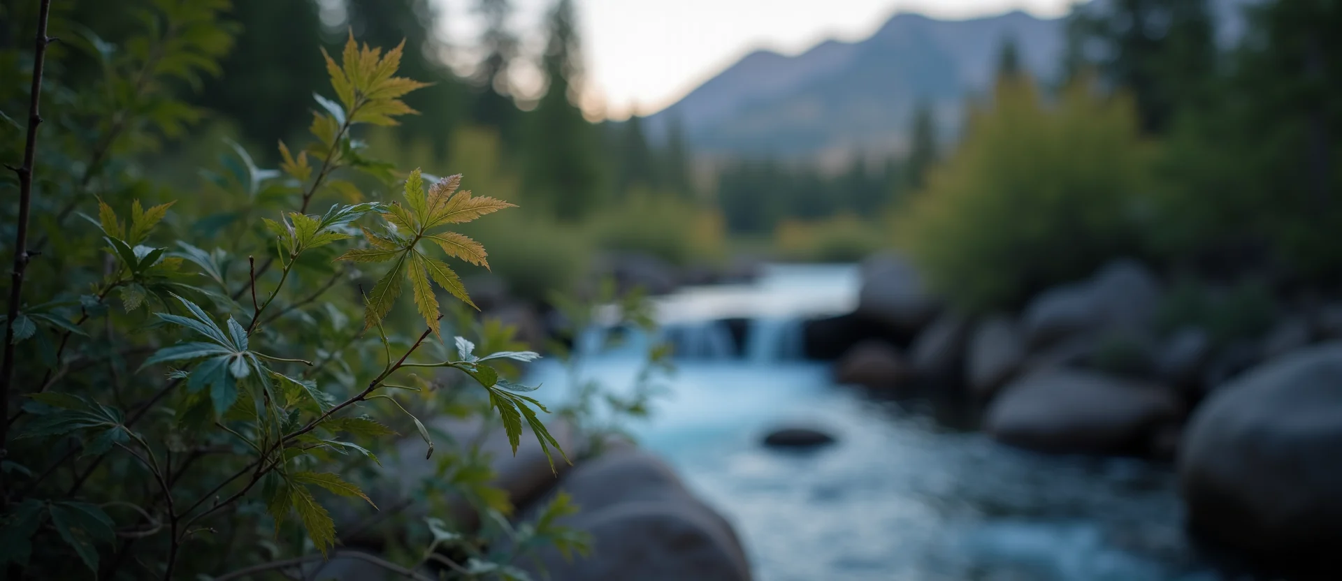 Symbolizing Flow/Cleansing: A local Quaking Aspen hidden small waterfall. - AI Generated