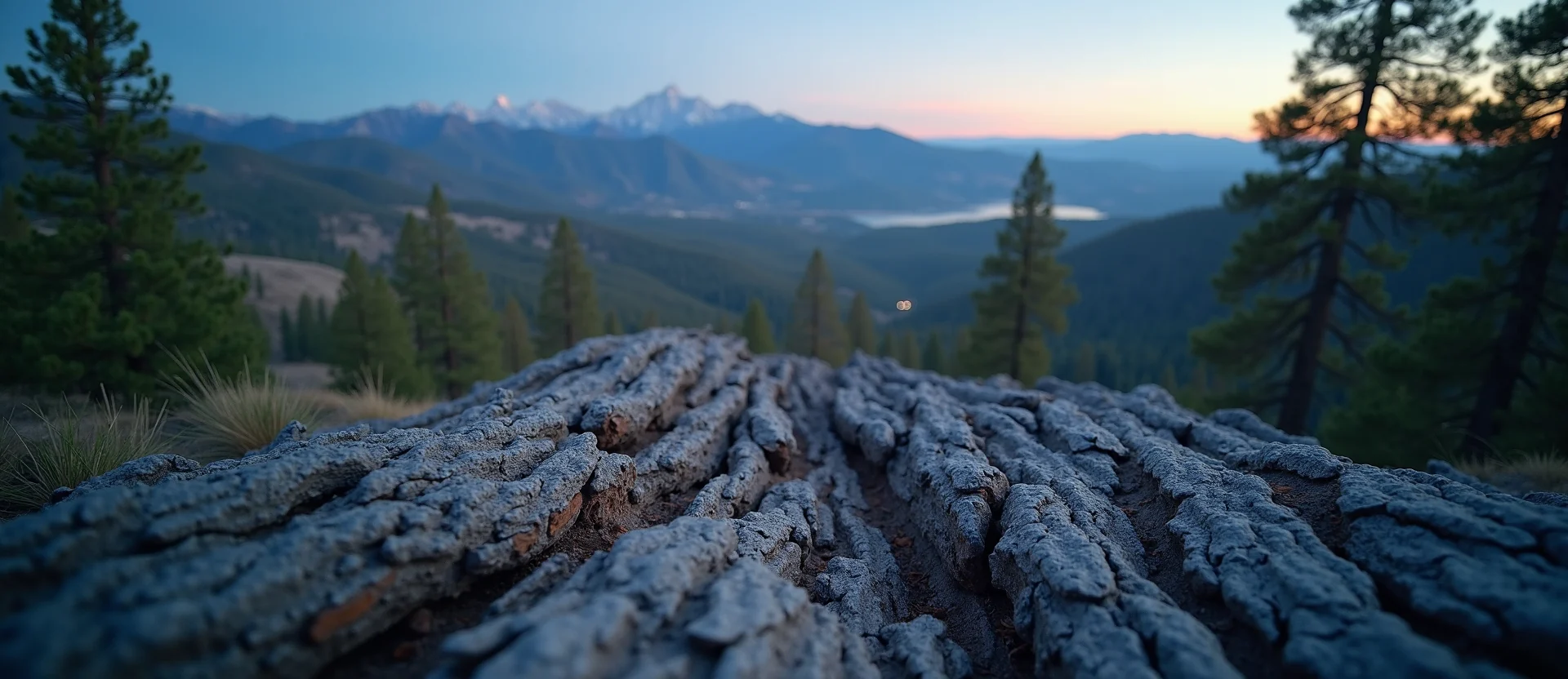 Symbolizing Identity/Local: A local Quaking Aspen Sierra Nevada skyline. - AI Generated