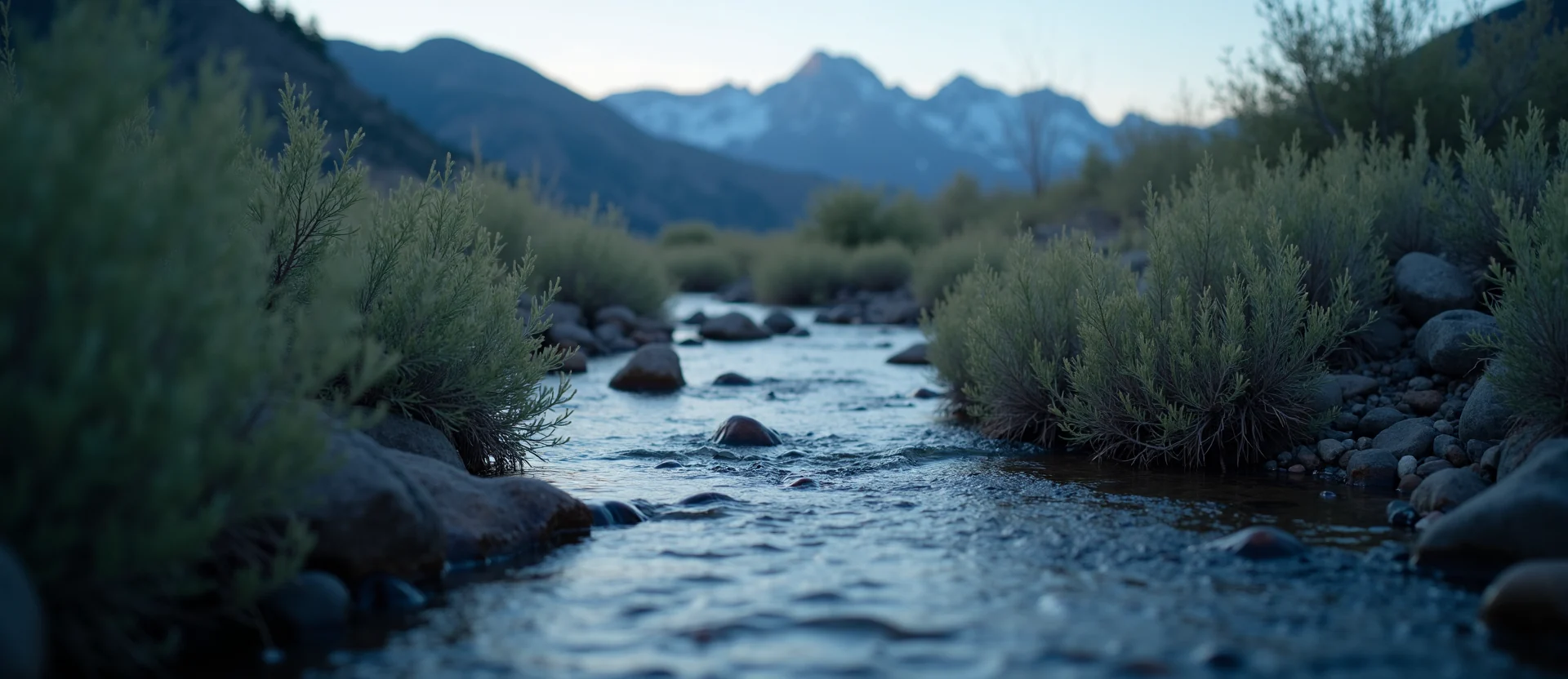 Symbolizing Flow/Cleansing: A local Sagebrush (Artemisia tridentata) clear cold snowmelt stream. - AI Generated
