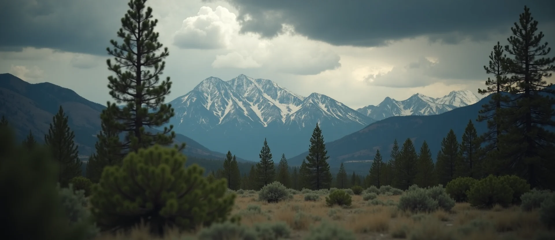 Symbolizing Identity/Local: A local Ponderosa Pine Sierra Nevada skyline. - AI Generated
