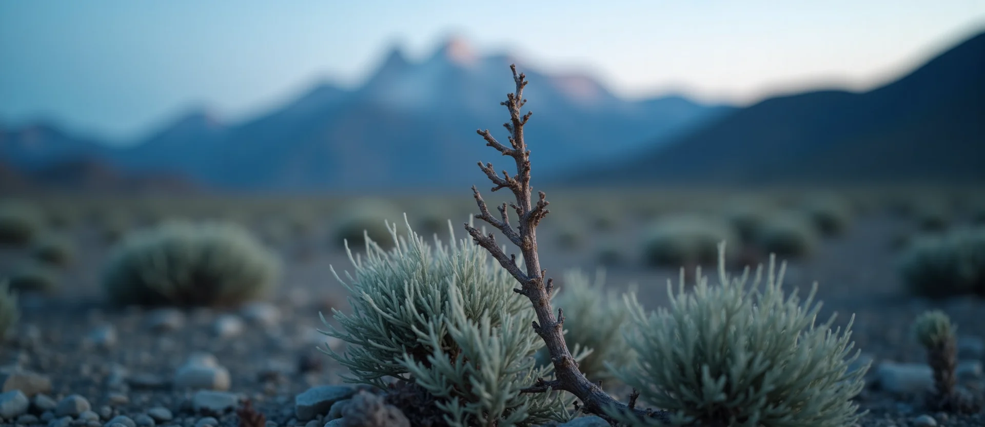 Symbolizing Growth/Resilience: A local Indian Paintbrush new branch reaching for the sky. - AI Generated