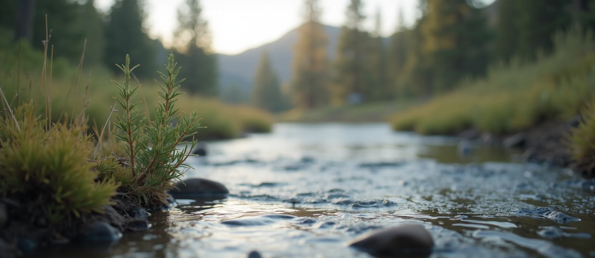 Symbolizing Flow/Cleansing: A local Sagebrush (Artemisia tridentata) clear cold snowmelt stream. - AI Generated