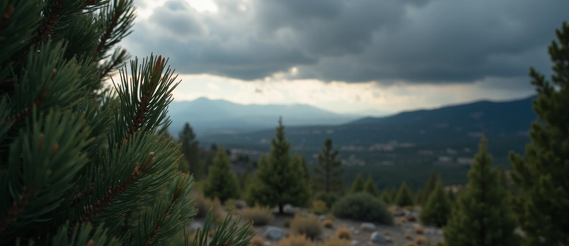 Symbolizing Stability/Peak: A local Ponderosa Pine distant Sierra horizon. - AI Generated