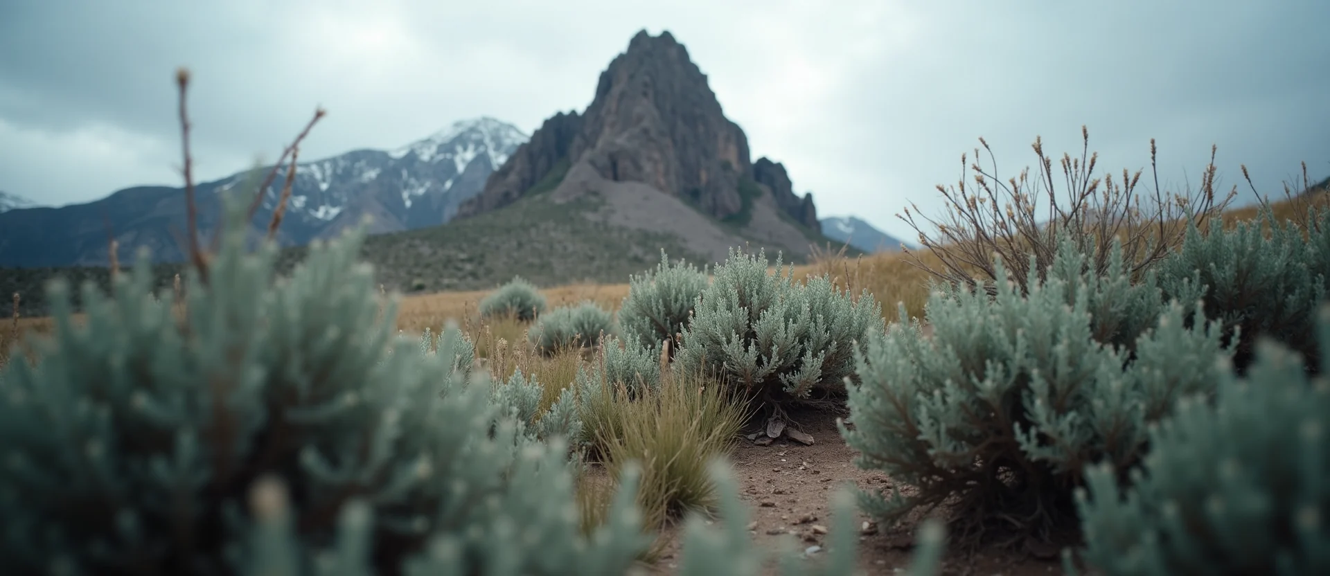 Symbolizing Stability/Peak: A local Rabbitbrush jagged granite peak. - AI Generated