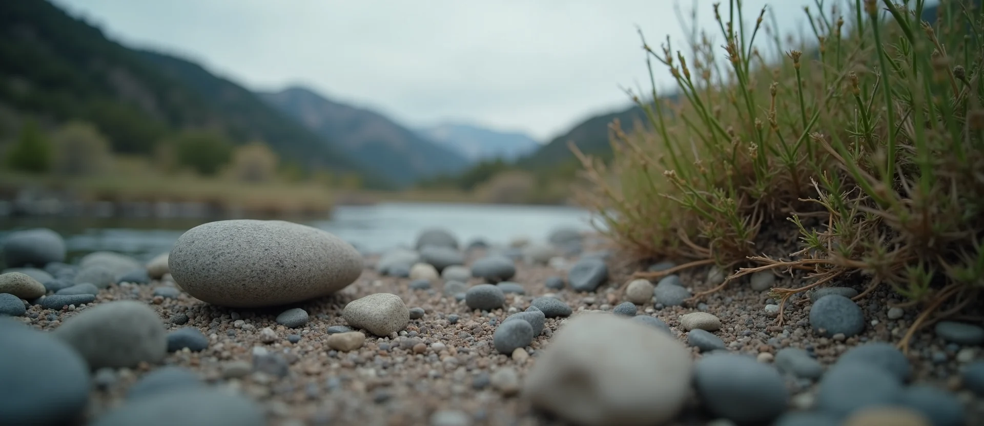Symbolizing Flow/Cleansing: A local Indian Paintbrush smooth Truckee river stones. - AI Generated