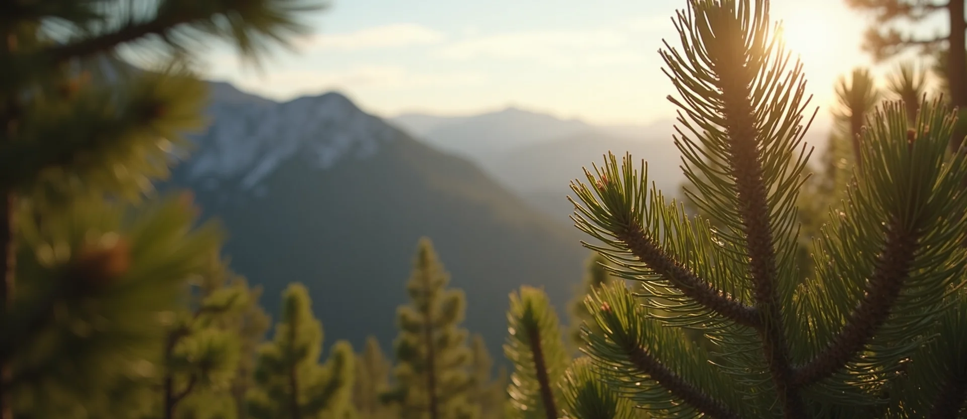 Symbolizing Stability/Peak: A local Sierra Juniper solid mountain ridge. - AI Generated
