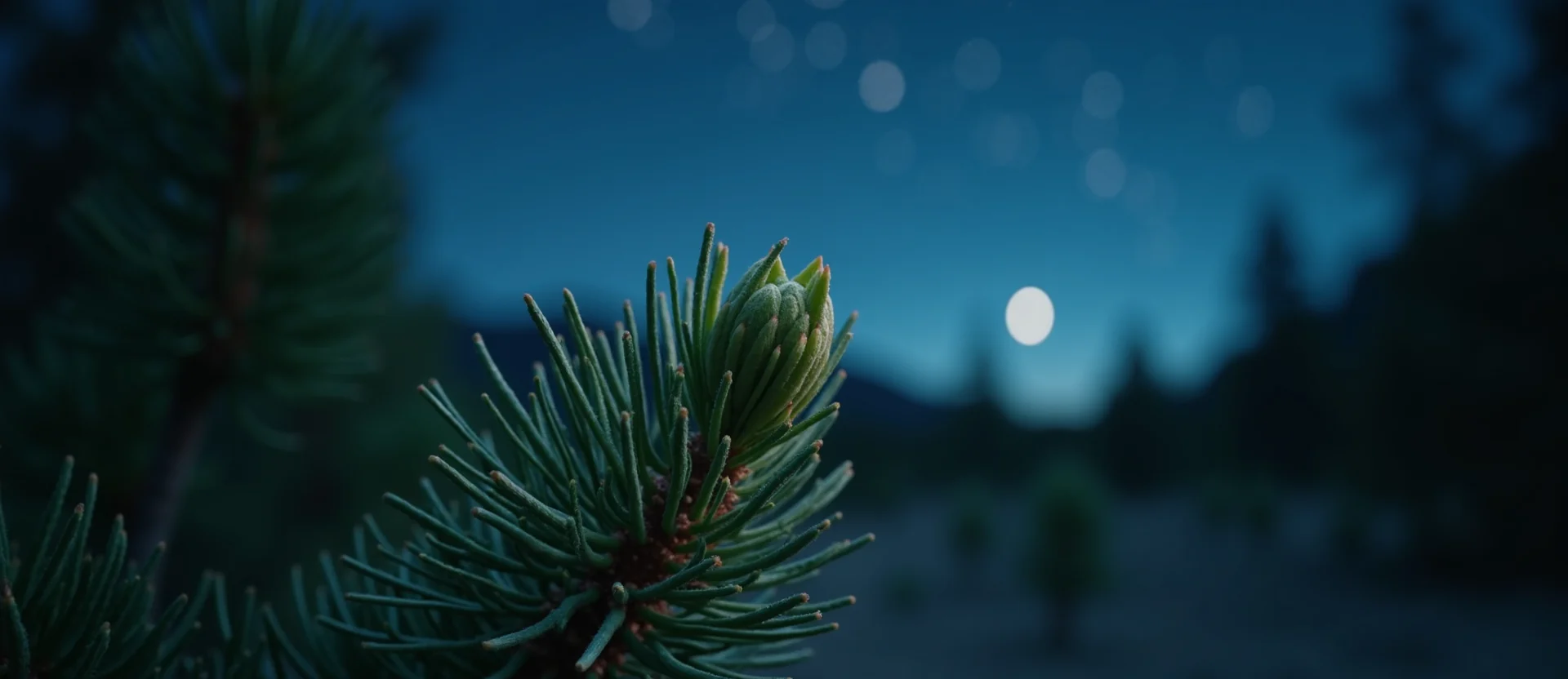 Symbolizing Seed/New Beginning: A local Ponderosa Pine new green bud on a branch. - AI Generated