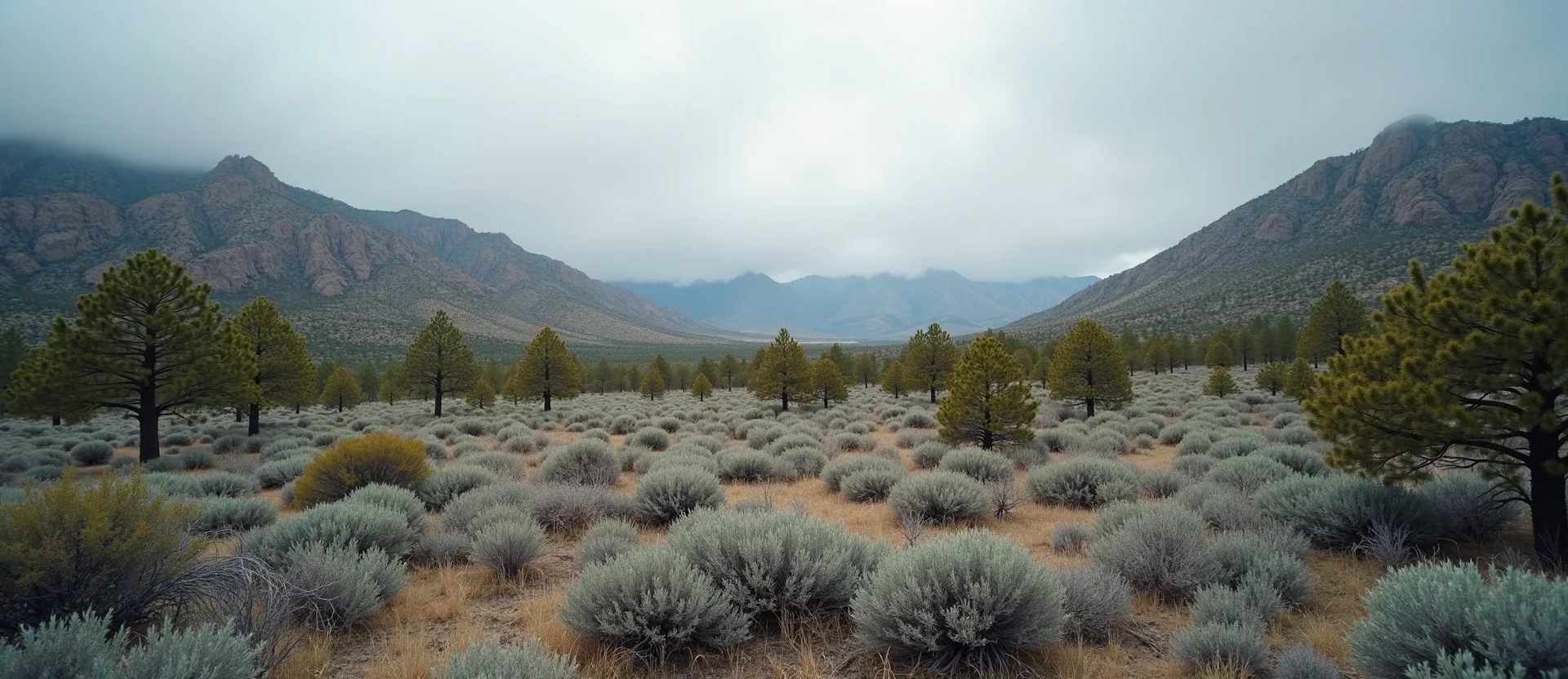 Symbolizing Identity/Local: A local Sierra Juniper Sierra Nevada skyline. - AI Generated