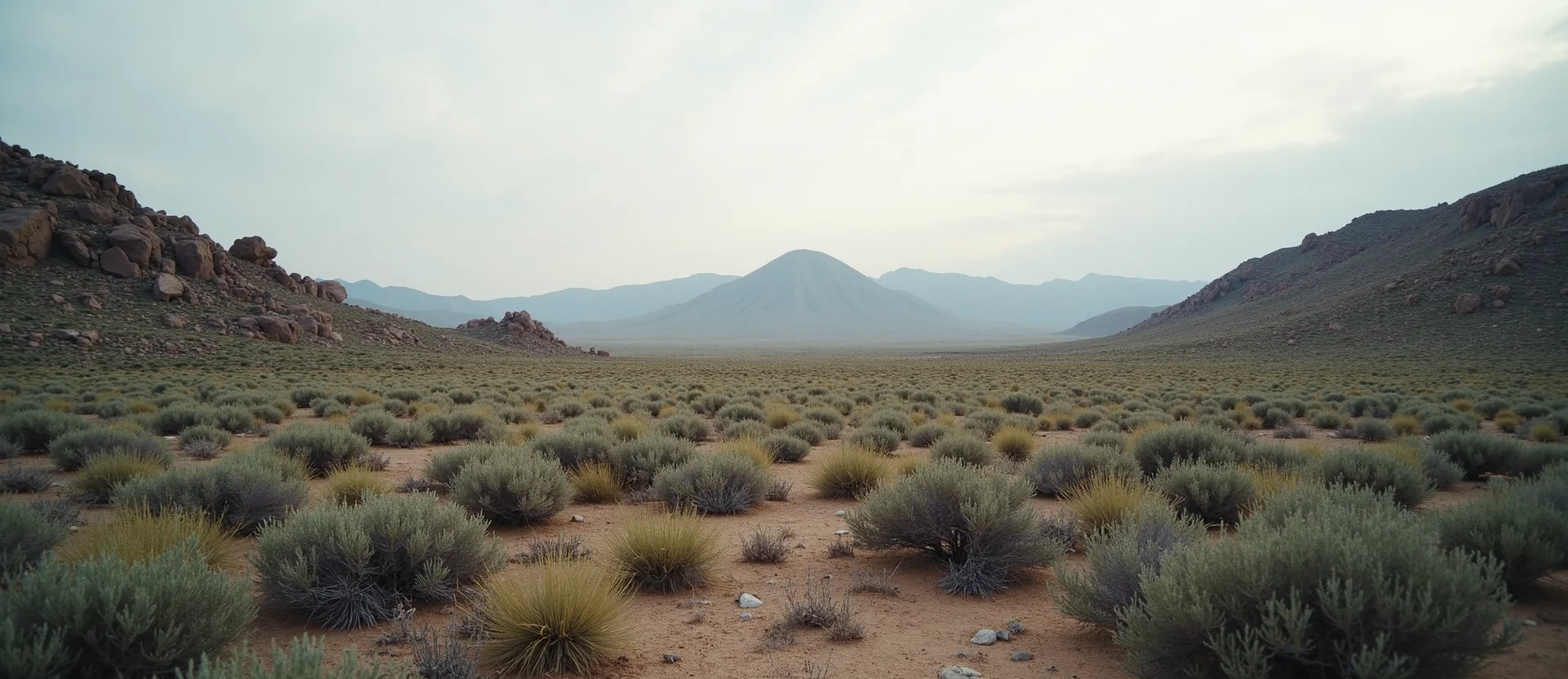 Symbolizing Identity/Local: A local Bitterbrush Peavine Mountain silhouette. - AI Generated