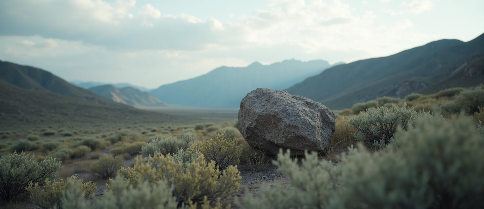 Symbolizing Stability/Peak: A local Rabbitbrush unshakable boulder. - AI Generated