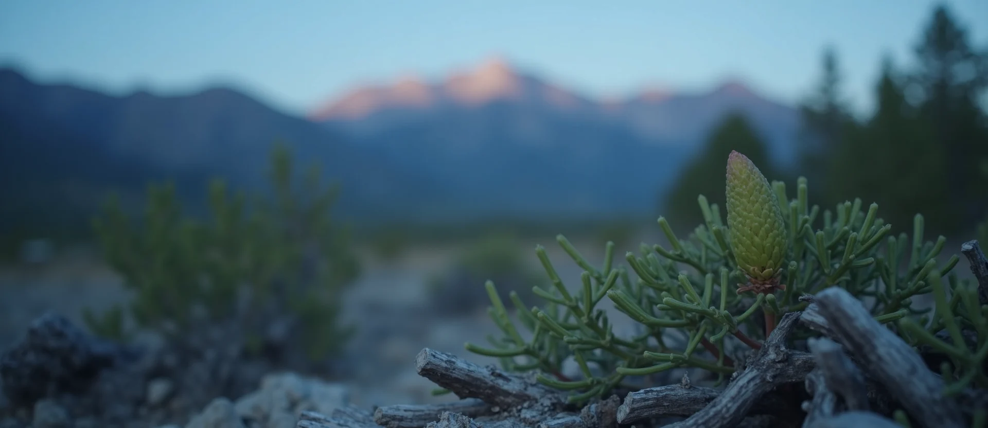 Symbolizing Seed/New Beginning: A local Mountain Mahogany new green bud on a branch. - AI Generated