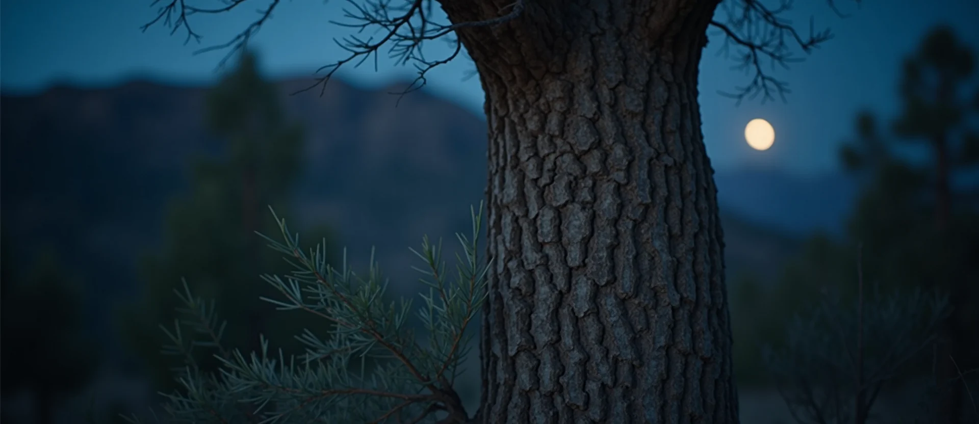 Symbolizing Growth/Resilience: A local Manzanita sturdy weathered tree trunk. - AI Generated