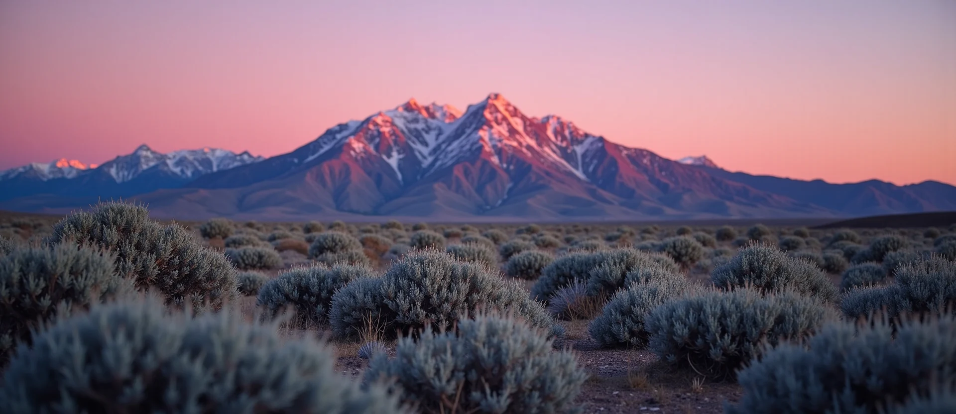 Symbolizing Identity/Local: A local Rabbitbrush High Desert vista. - AI Generated