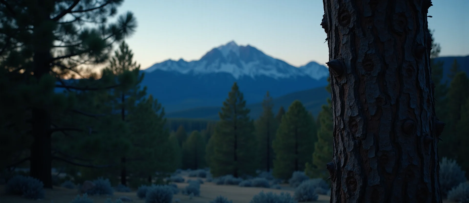 Symbolizing Identity/Local: A local Mountain Mahogany Peavine Mountain silhouette. - AI Generated