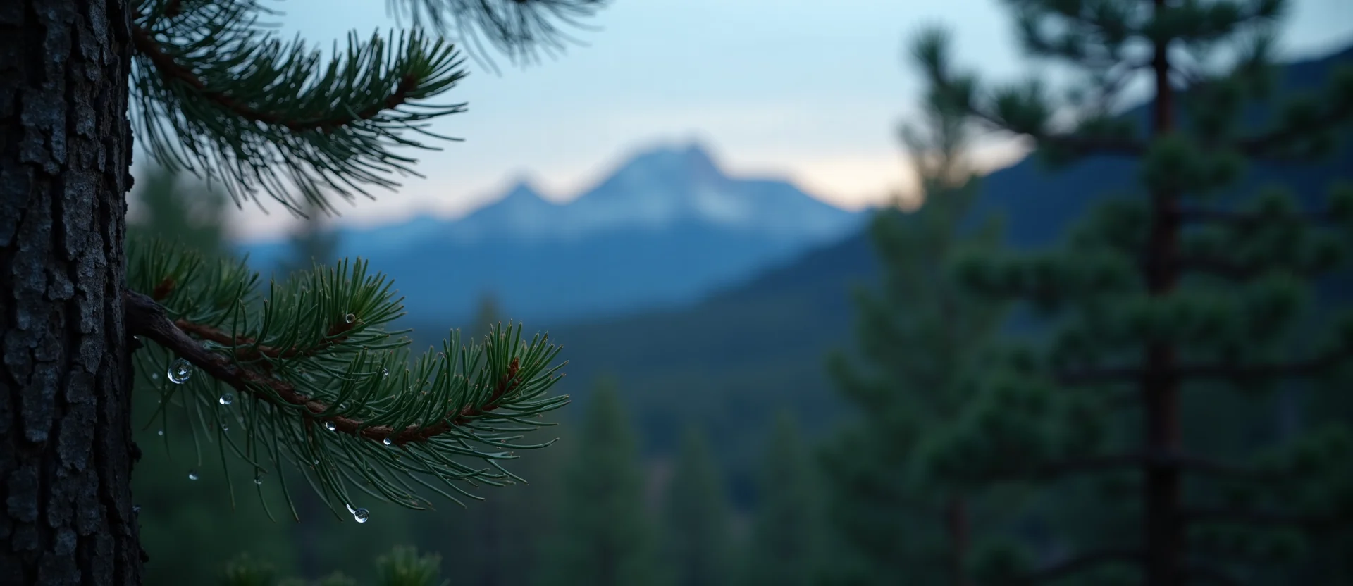 Symbolizing Flow/Cleansing: A local Ponderosa Pine raindrops on desert leaves. - AI Generated
