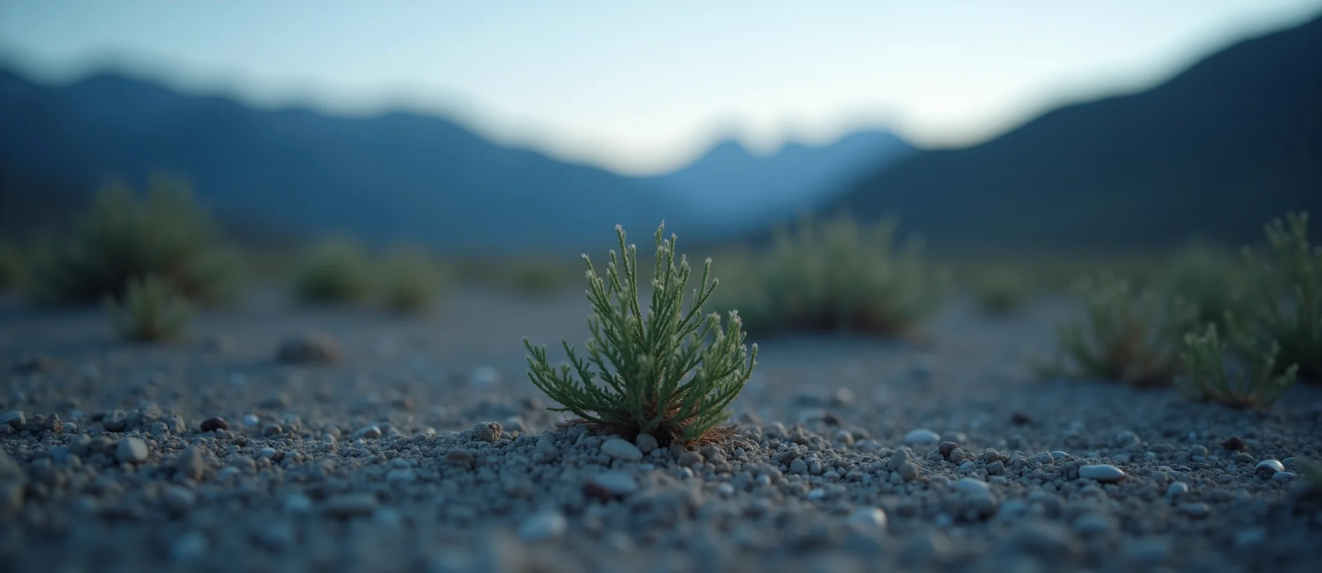 Symbolizing Seed/New Beginning: A local Desert Peach sprouting sagebrush seedling. - AI Generated