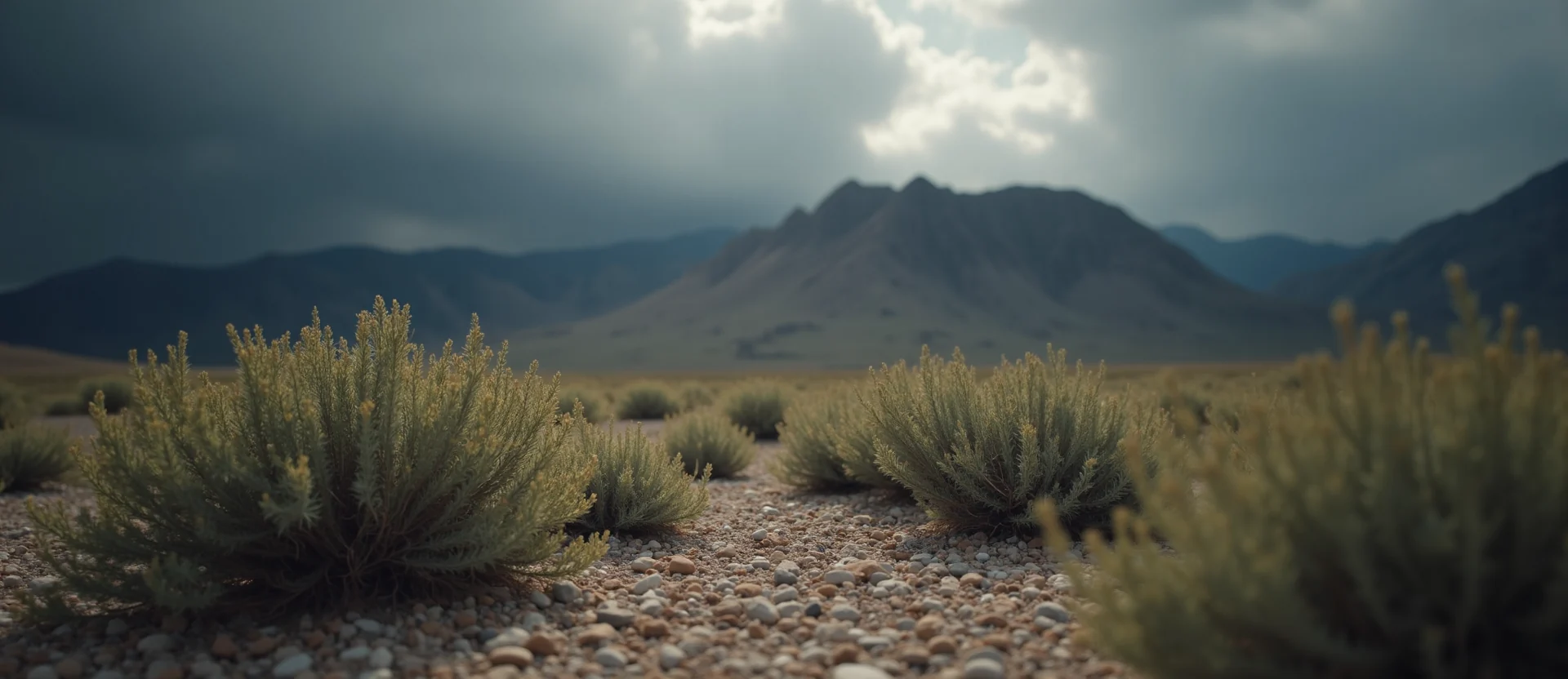 Symbolizing Identity/Local: A local Rabbitbrush Peavine Mountain silhouette. - AI Generated