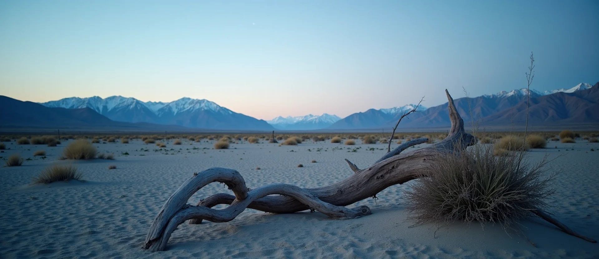 Symbolizing Stability/Peak: A local Desert Peach distant Sierra horizon. - AI Generated