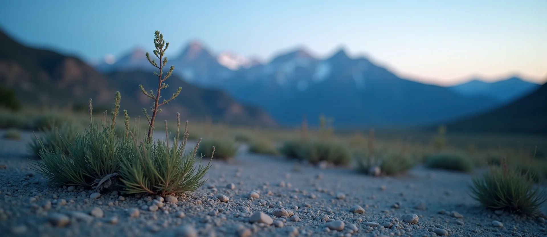 Symbolizing Growth/Resilience: A local Indian Paintbrush new branch reaching for the sky. - AI Generated