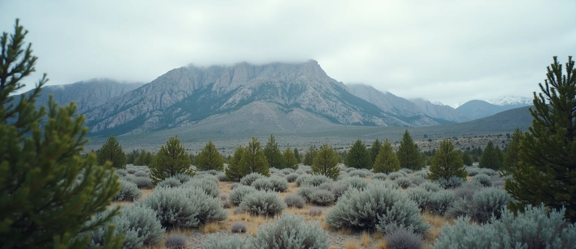 Symbolizing Stability/Peak: A local Sierra Juniper solid mountain ridge. - AI Generated