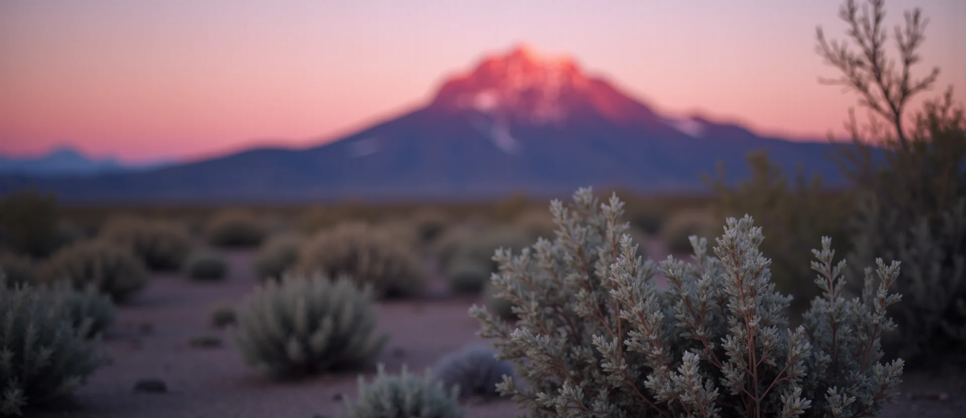 Symbolizing Identity/Local: A local Rabbitbrush High Desert vista. - AI Generated