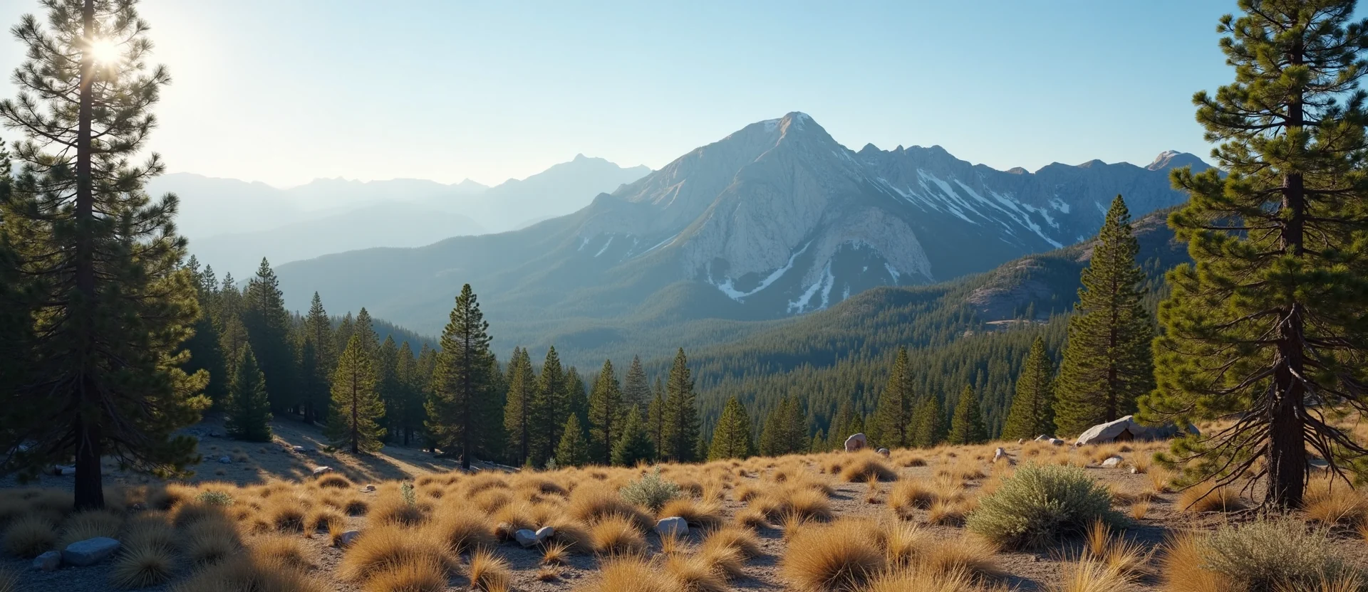 Symbolizing Stability/Peak: A local Ponderosa Pine solid mountain ridge. - AI Generated