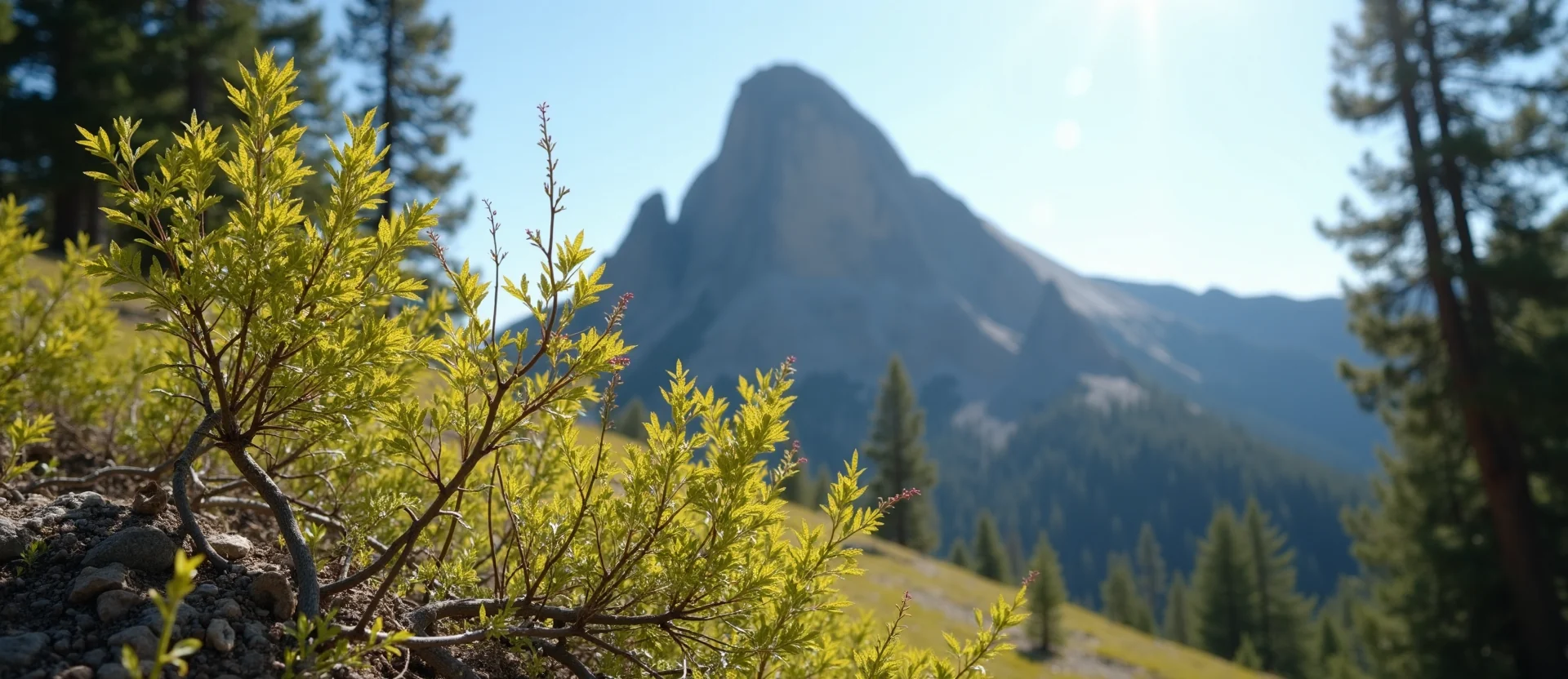 Symbolizing Stability/Peak: A local Sierra Juniper jagged granite peak. - AI Generated