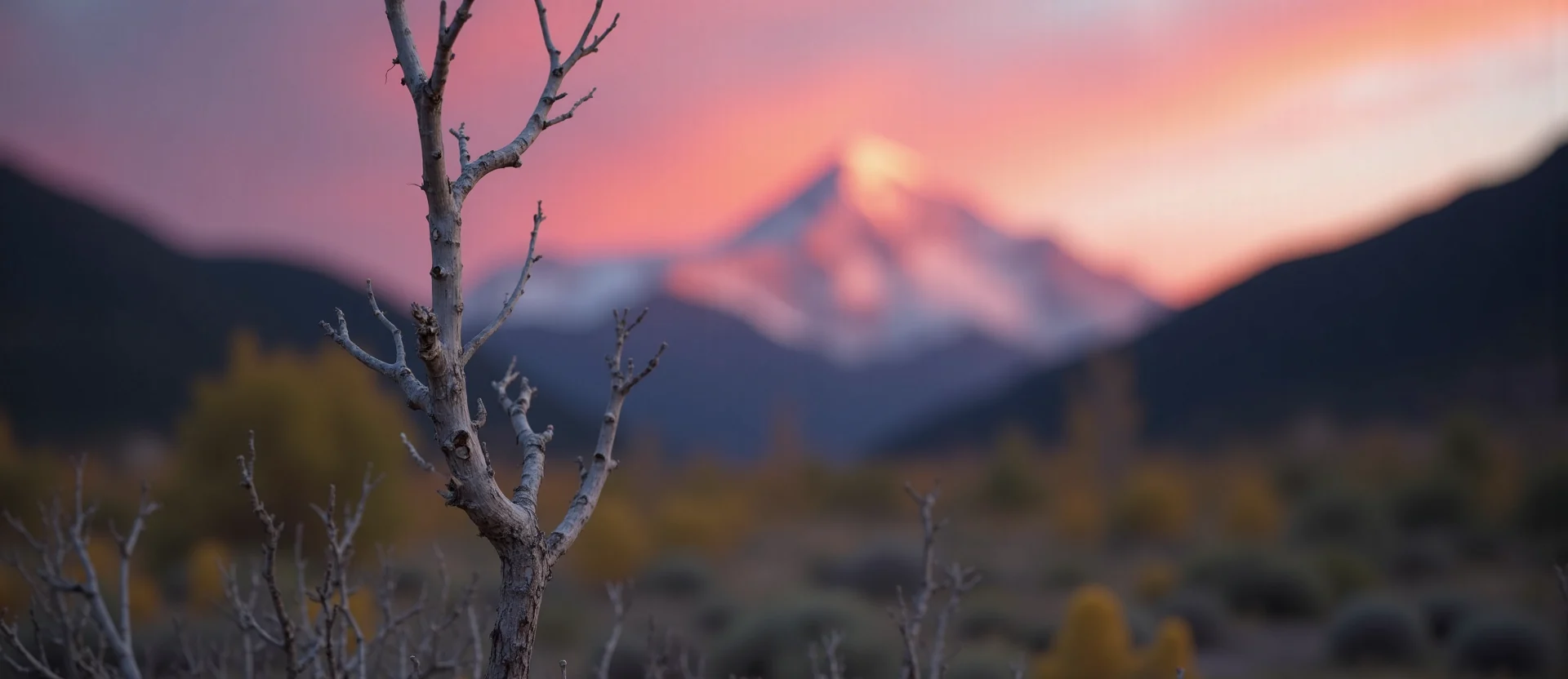 Symbolizing Growth/Resilience: A local Quaking Aspen new branch reaching for the sky. - AI Generated