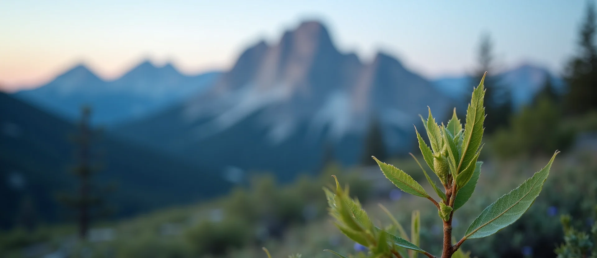 Symbolizing Stability/Peak: A local Indian Paintbrush jagged granite peak. - AI Generated