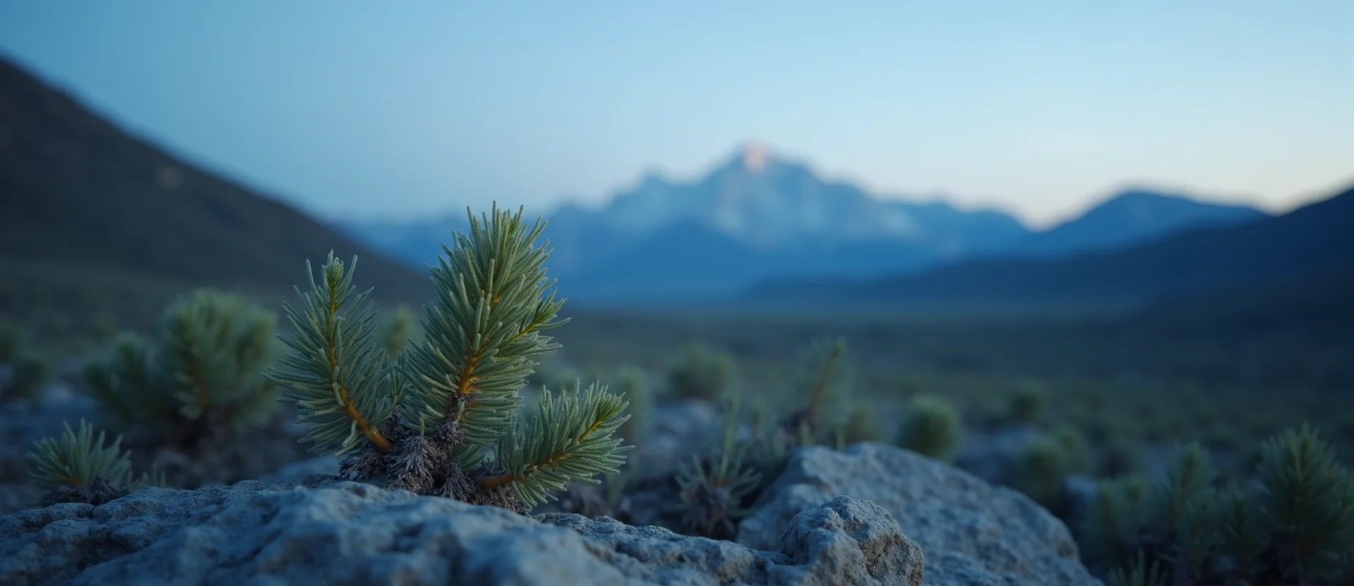 Symbolizing Seed/New Beginning: A local Bitterbrush new green bud on a branch. - AI Generated