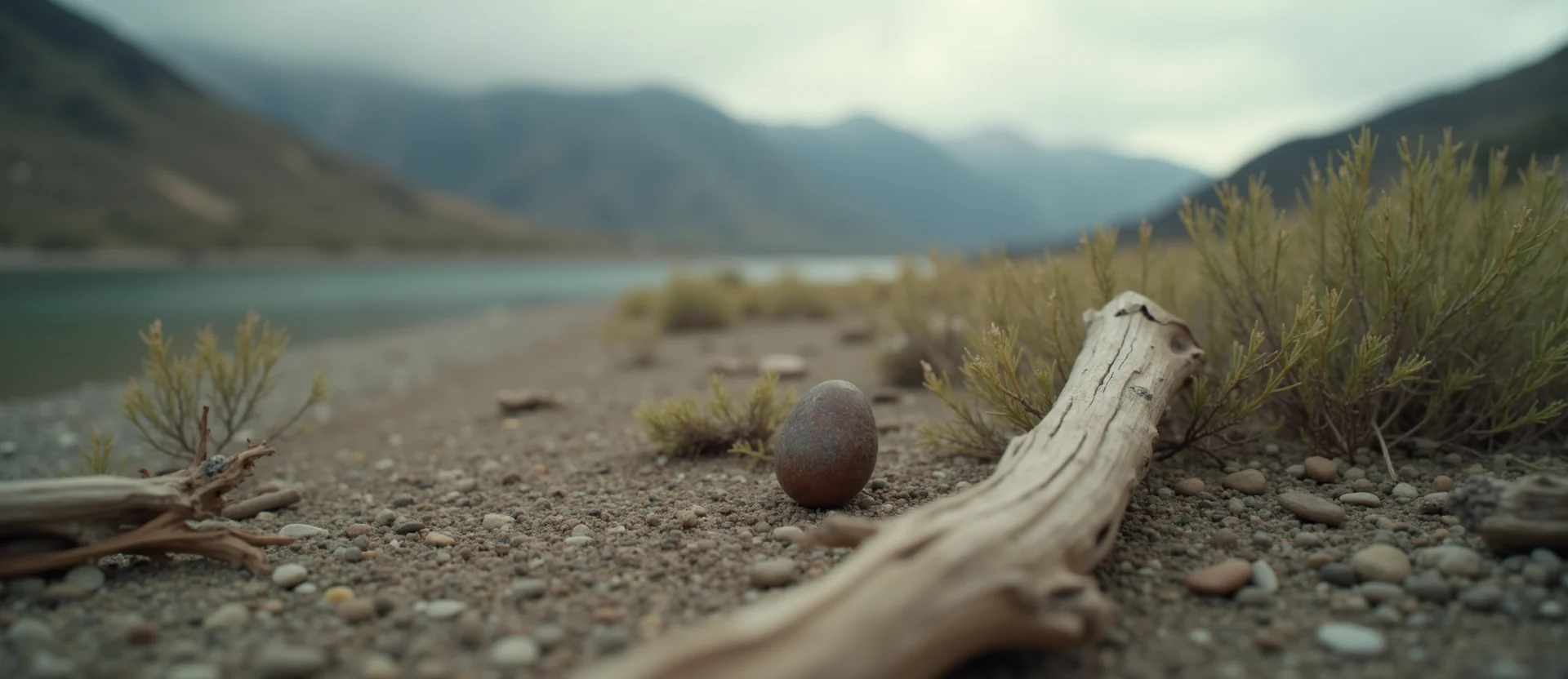 Symbolizing Seed/New Beginning: A local Desert Peach single pine seed on dry earth. - AI Generated
