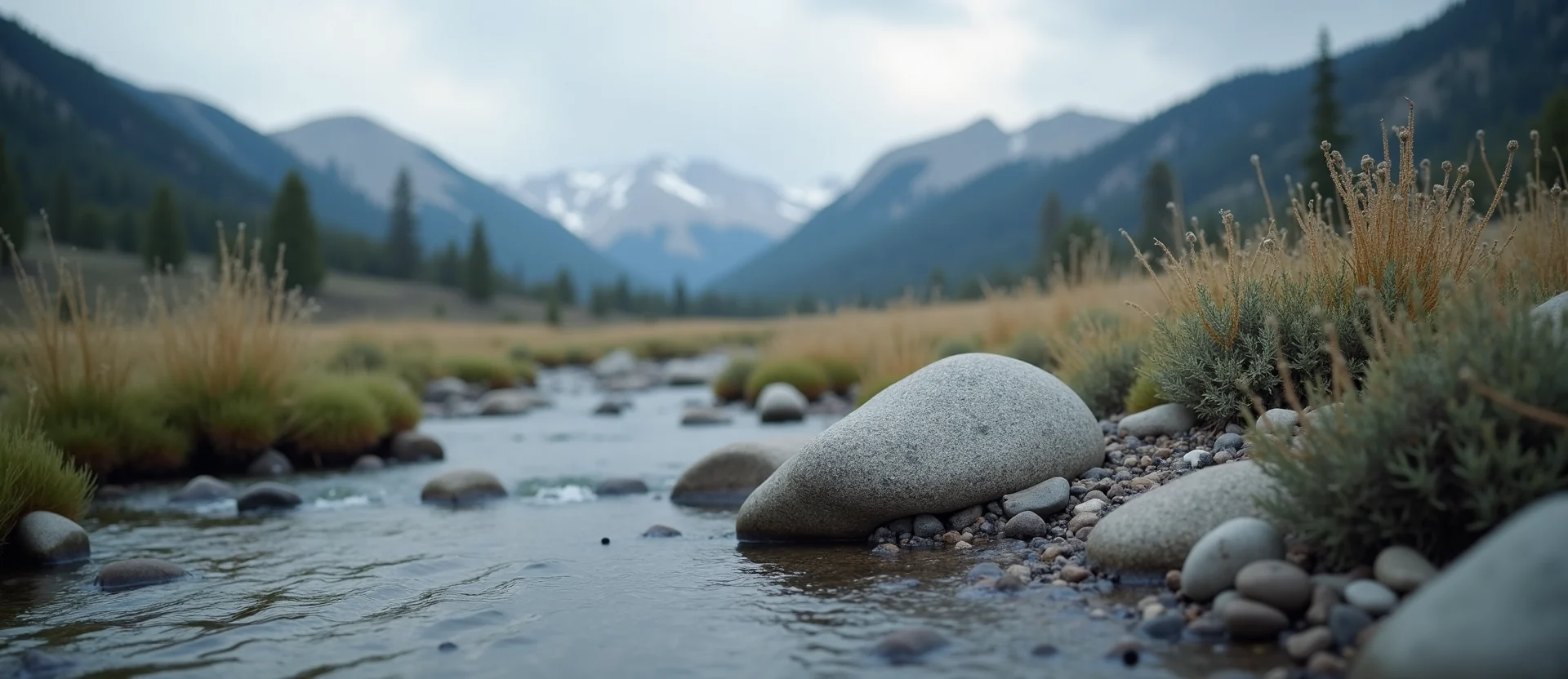 Symbolizing Flow/Cleansing: A local Sagebrush (Artemisia tridentata) smooth Truckee river stones. - AI Generated