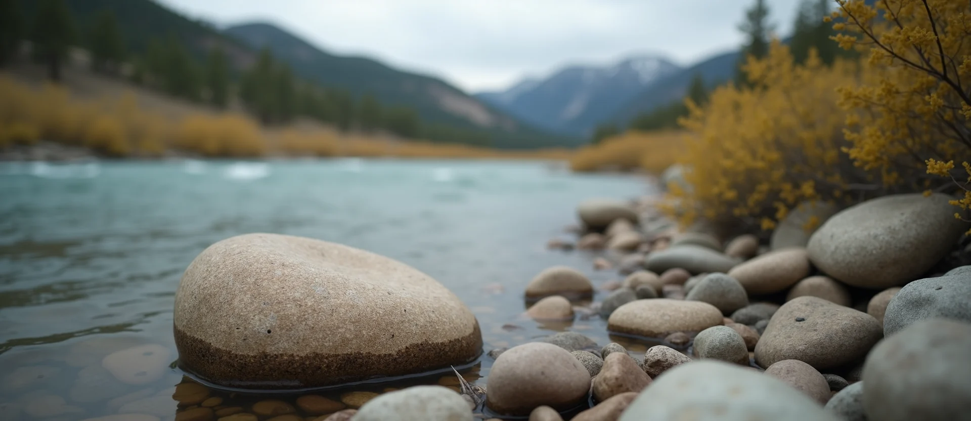 Symbolizing Flow/Cleansing: A local Rabbitbrush smooth Truckee river stones. - AI Generated