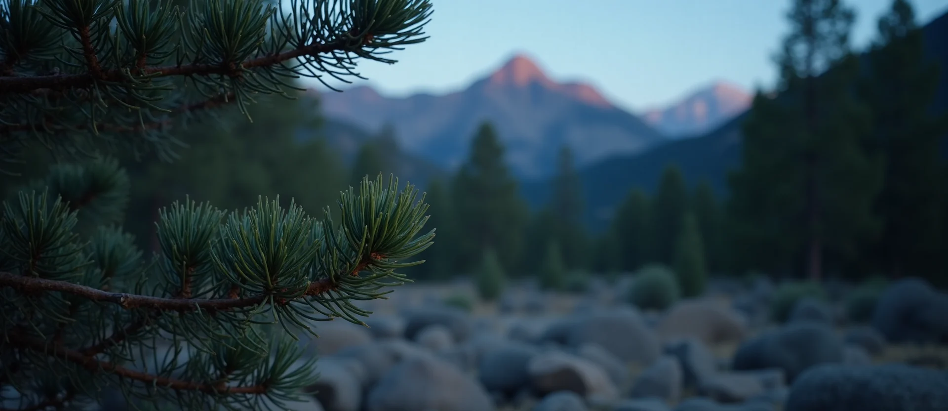 Symbolizing Identity/Local: A local Ponderosa Pine High Desert vista. - AI Generated
