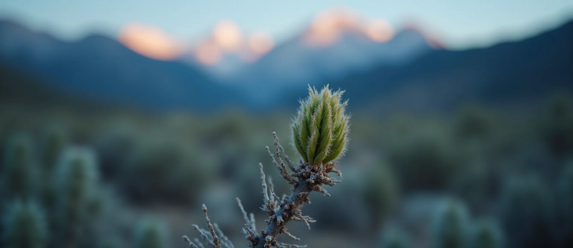 Symbolizing Seed/New Beginning: A local Desert Peach new green bud on a branch. - AI Generated