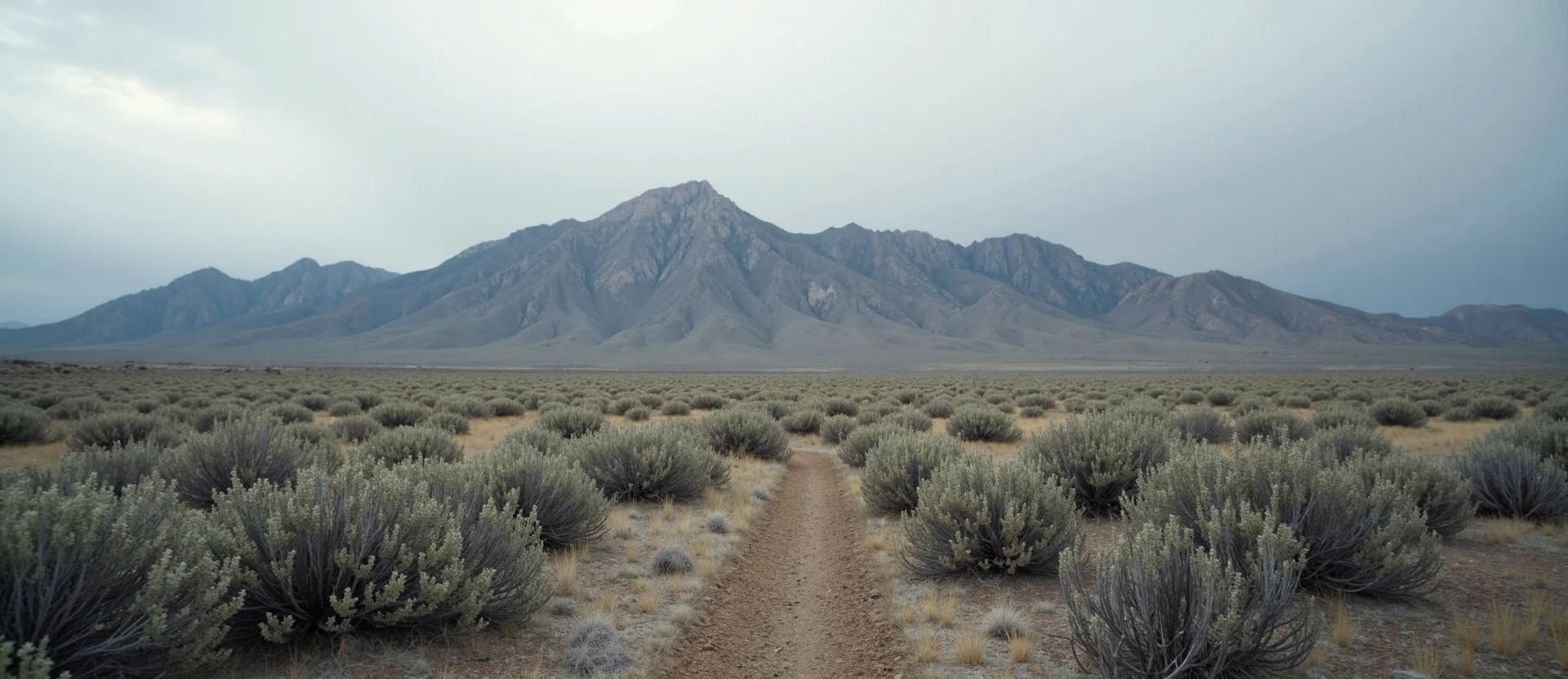 Symbolizing Identity/Local: A local Desert Peach Peavine Mountain silhouette. - AI Generated