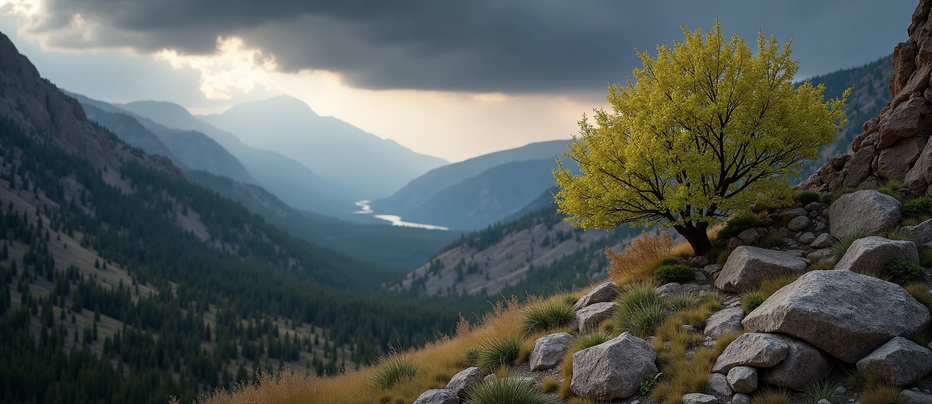 Symbolizing Growth/Resilience: A local Bitterbrush tree growing out of a rock cleft. - AI Generated