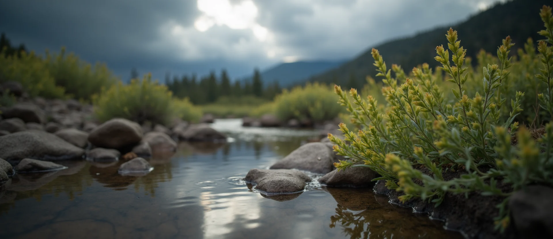 Symbolizing Flow/Cleansing: A local Bitterbrush hidden small waterfall. - AI Generated