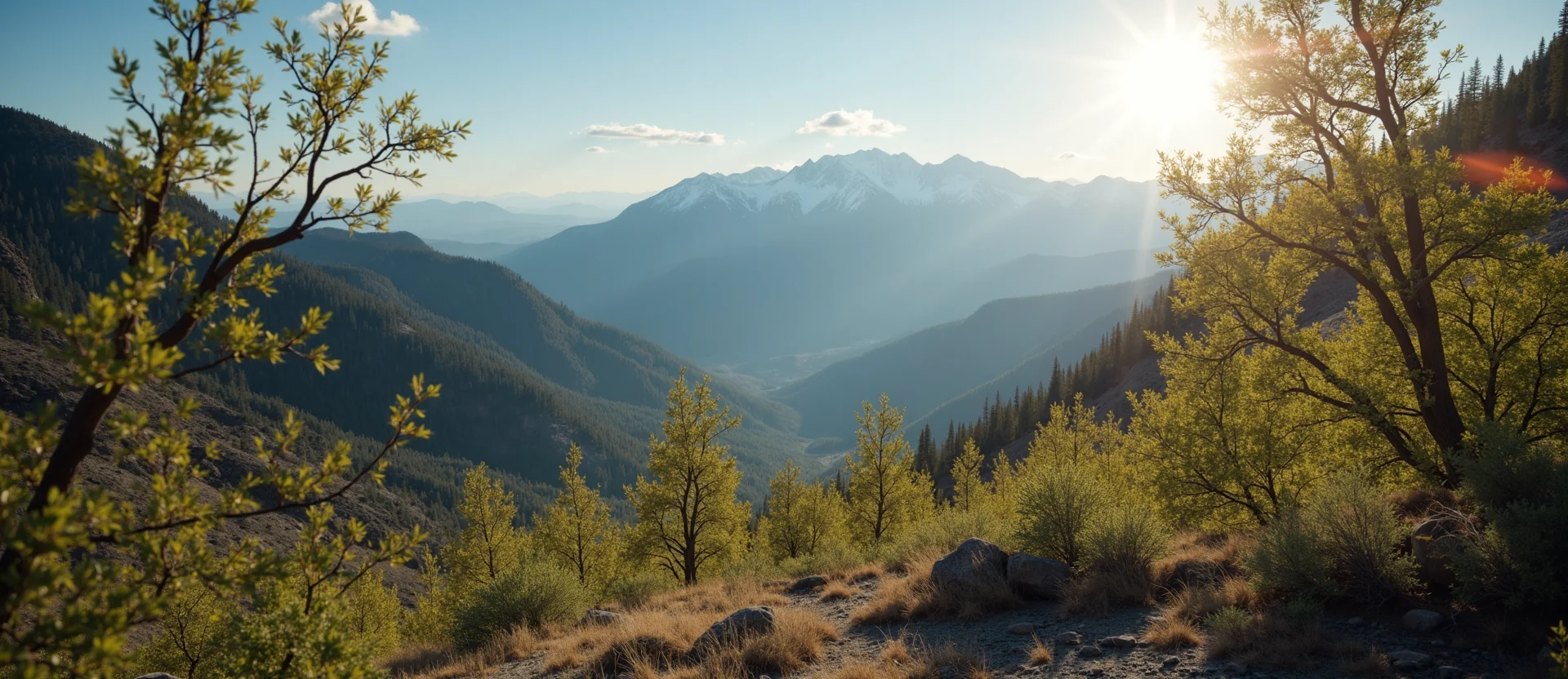 Symbolizing Identity/Local: A local Mountain Mahogany Sierra Nevada skyline. - AI Generated