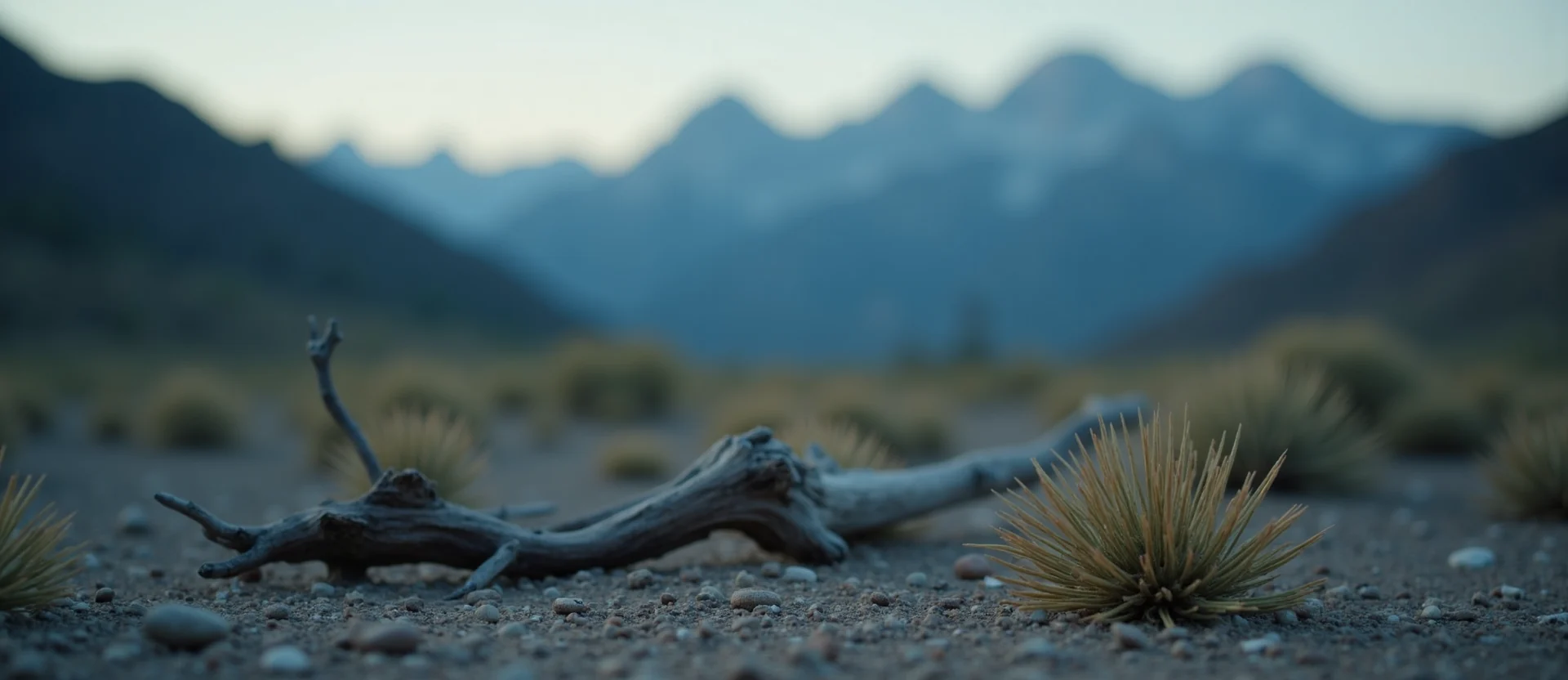 Symbolizing Seed/New Beginning: A local Rabbitbrush single pine seed on dry earth. - AI Generated