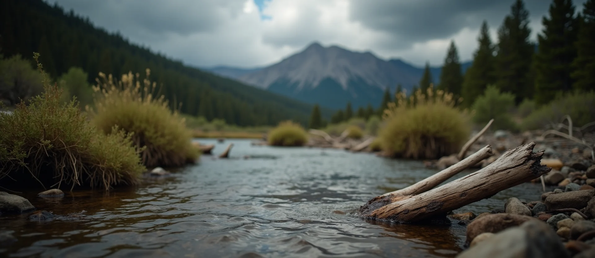 Symbolizing Flow/Cleansing: A local Manzanita babbling mountain creek. - AI Generated