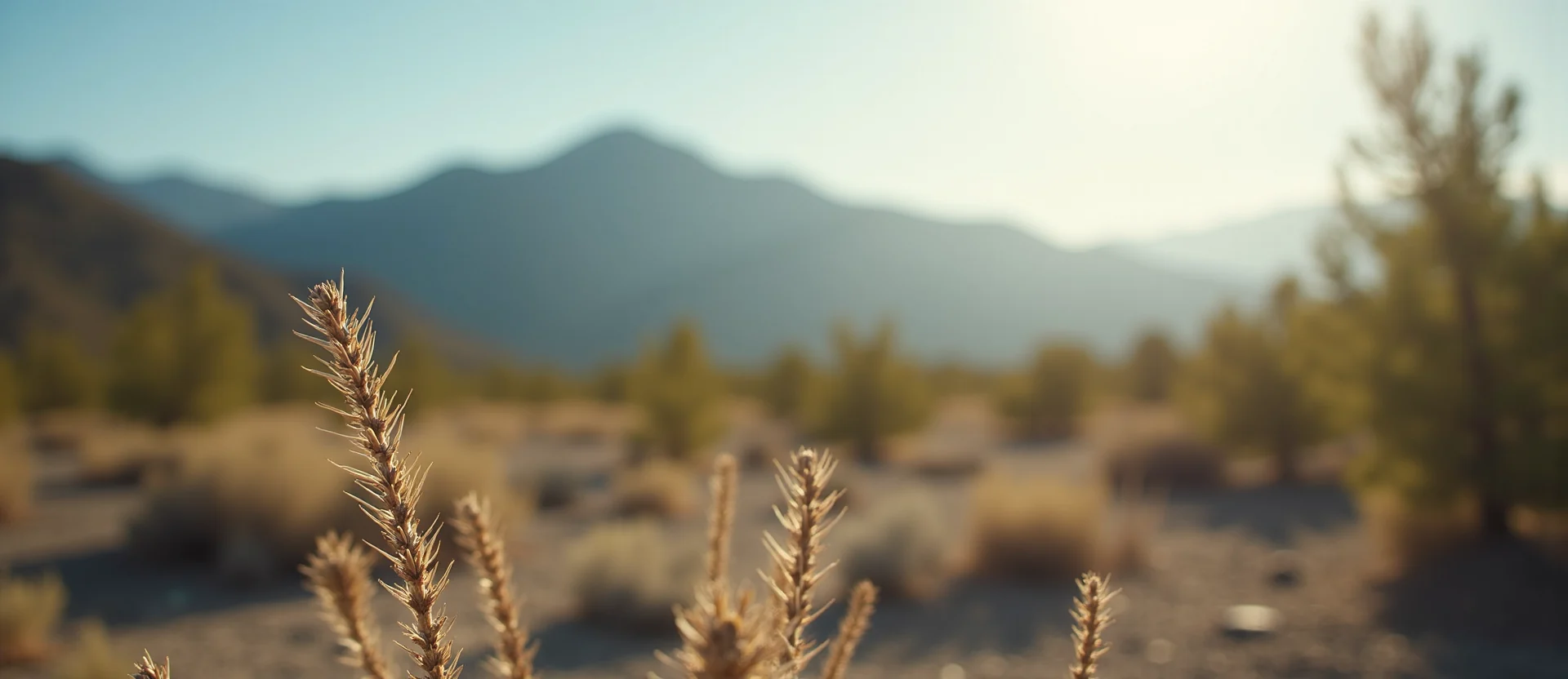 Symbolizing Identity/Local: A local Desert Peach Peavine Mountain silhouette. - AI Generated