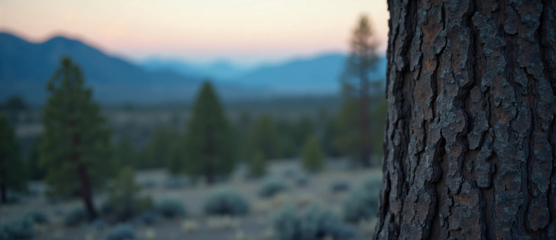 Symbolizing Stability/Peak: A local Manzanita distant Sierra horizon. - AI Generated